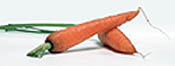 carrots as toothbrushes