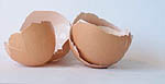natural garbage disposal care
