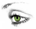 eye for beauty