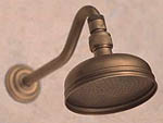 natural showerhead cleaning