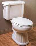 natural toilet cleaning